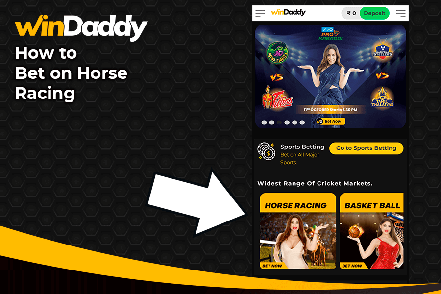 How to bet on horse racing windaddy