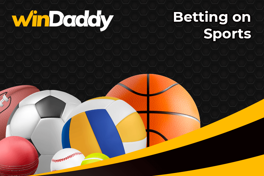 How to bet on sports in India with winDaddy